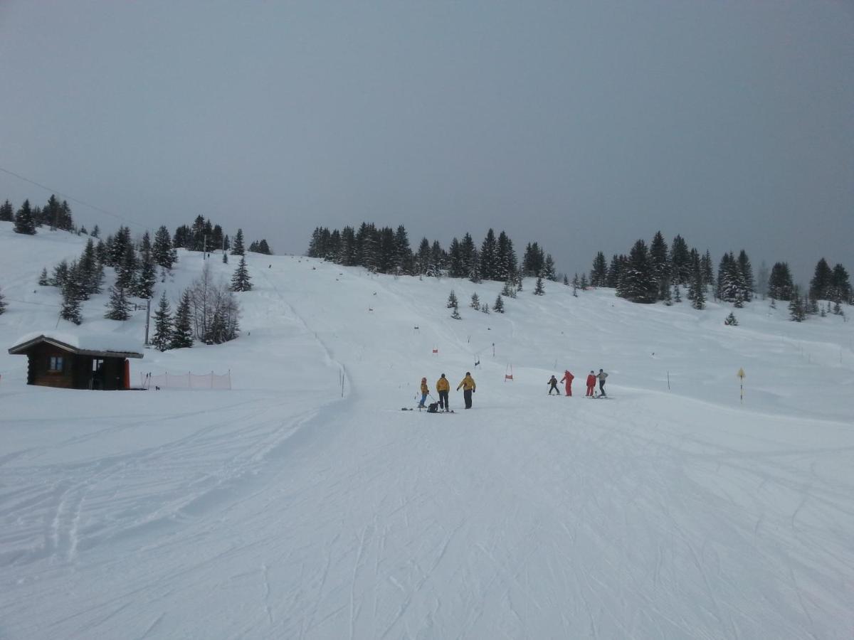 Le Chalet D'Eleonore Les Saisies Dış mekan fotoğraf